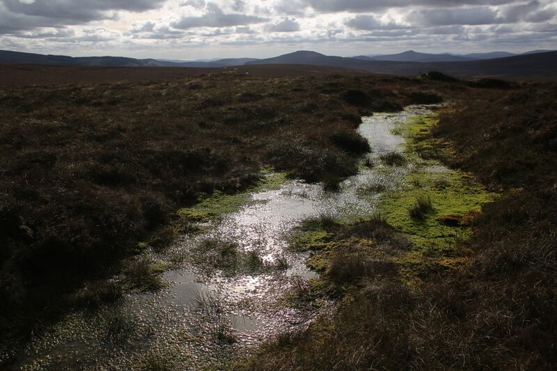 The source of the river Liffey lies in the Liffey Head Bog. Photograph: Bryan O'Brien