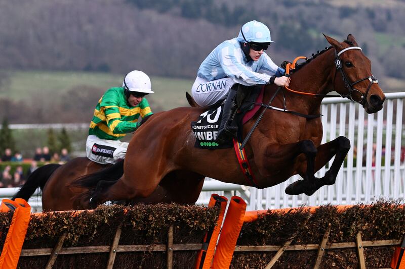 Rachael Blackmore steered Henry de Bromhead-trained Honeysuckle to a fourth Cheltenham festival win in March. Photograph: Adrian Dennis/AFP/Getty


