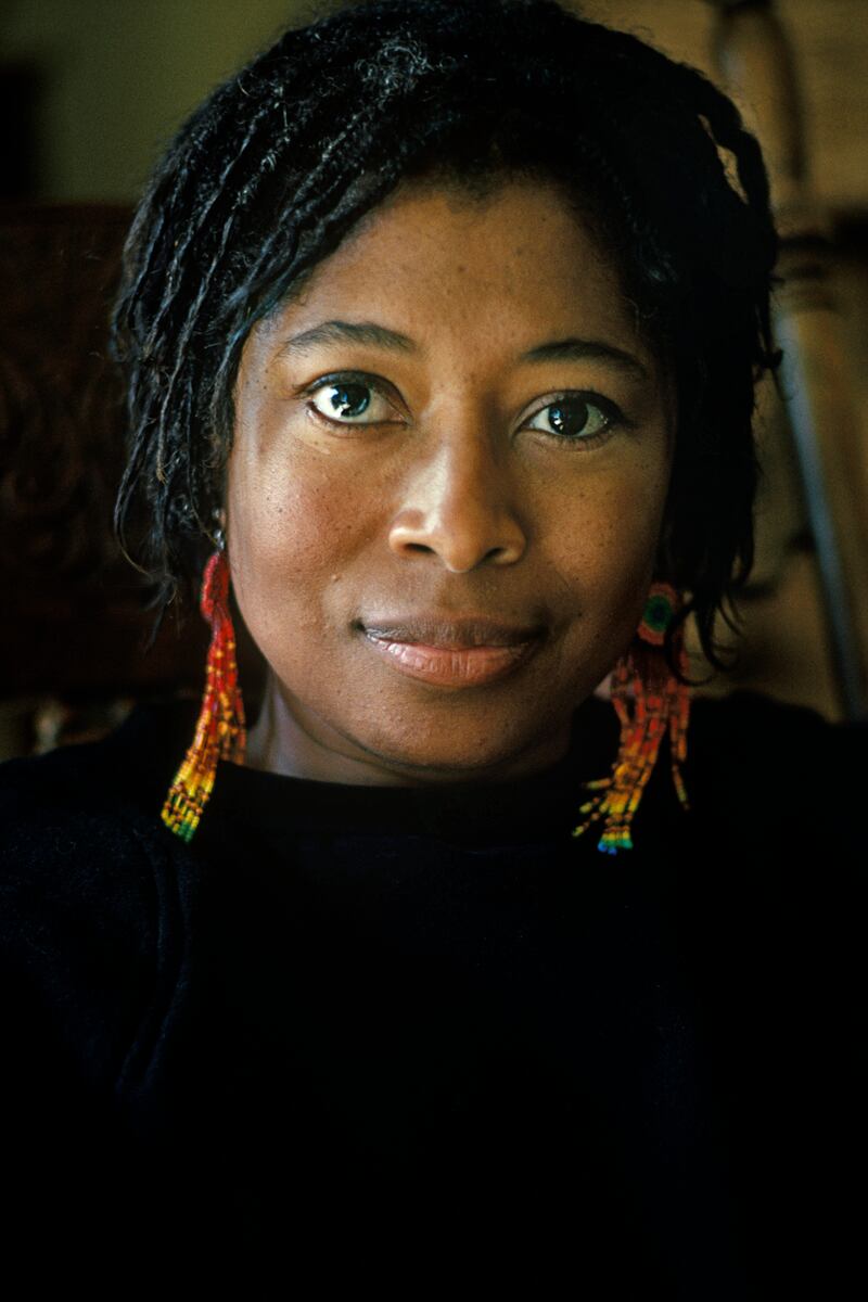Alice Walker in 1985. Photograph: Mikki Ansin/Getty Images