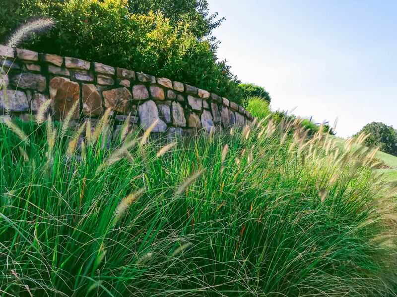 Ornamental grasses can work well on sloping areas of a garden