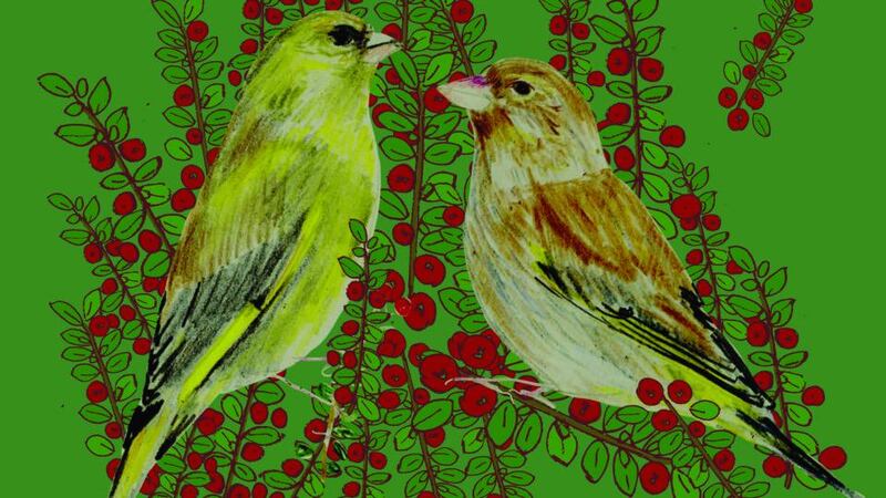 Illustrations by Melissa Doran from the book ‘Naturama’