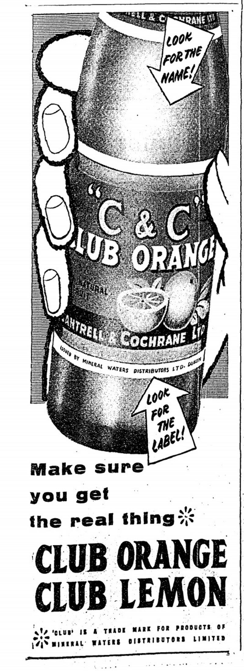 Club Orange 25_11_58