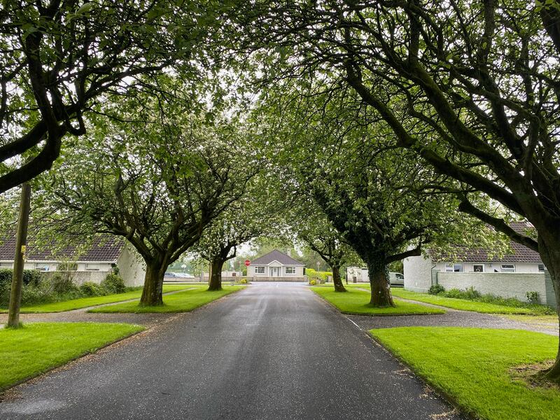 The entrance from the main road to The Abbey at Cloontuskert, Co Roscommon. Photograph: Deirdre Falvey