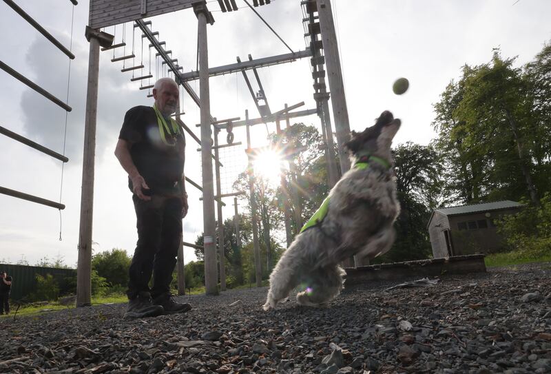 Dr Neil Powell in a training session with Nelly, a cadaver dog. Photograph: Alan Betson 