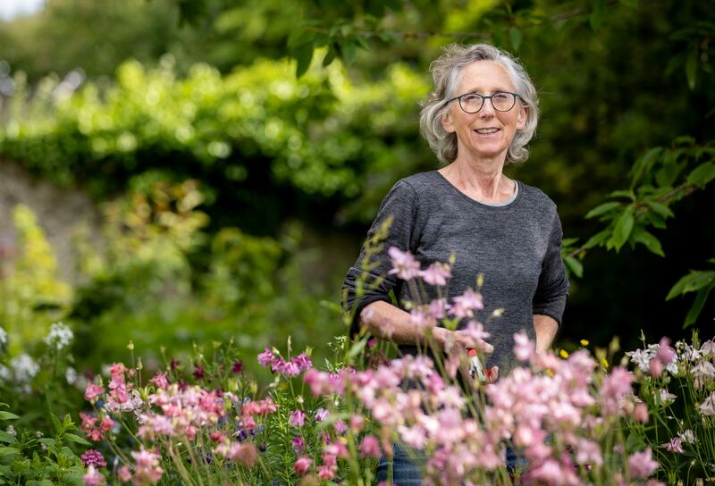 Gardener Louise Connolly says Marlay Park has 'great bones' and 'all we’re doing is dressing it up'. Photograph: Tom Honan/The Irish Times