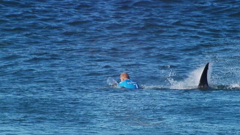 Mick Fanning of Australia is attacked by a shark in South Africa on July 19th, 2015. Photograph: Reuters