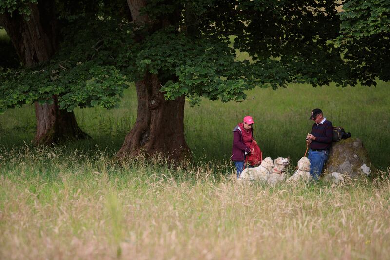 Dog owner and their golden retrievers at the gathering in the village of Tomich, Scotland. Photograph: Roddy Mackay/The New York Times
                      