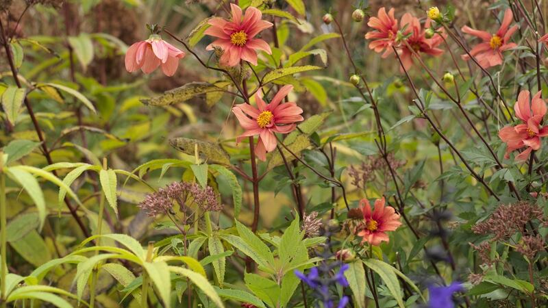 Photograph: Richard Johnston