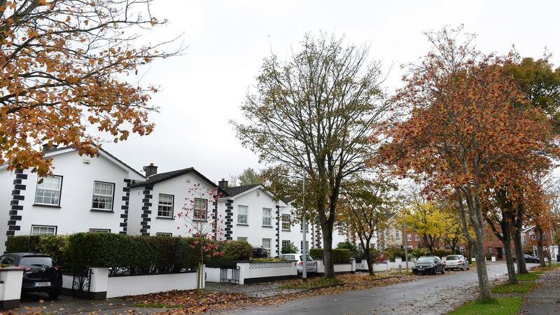 Castleknock Park, Castleknock, Dublin. Photograph: Dara MacDónaill/The Irish Times