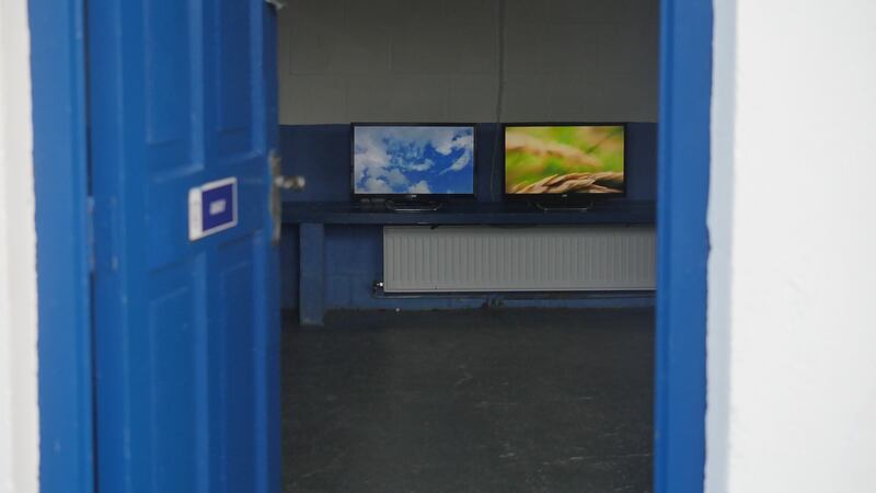 Anything to Declare: Passing Time - Grasses, from the video loops by Róisín Loughrey. Photograph: Róisín Loughrey