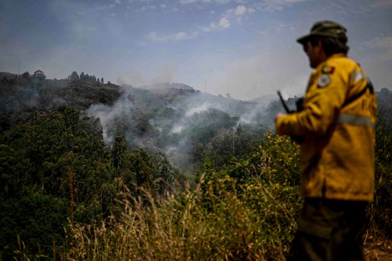 Portugal’s Health Ministry said late on Saturday that in the last seven days 659 people died due to the heatwave, most of them elderly. Photograph: Patricia De Melo Moreira/AFP via Getty