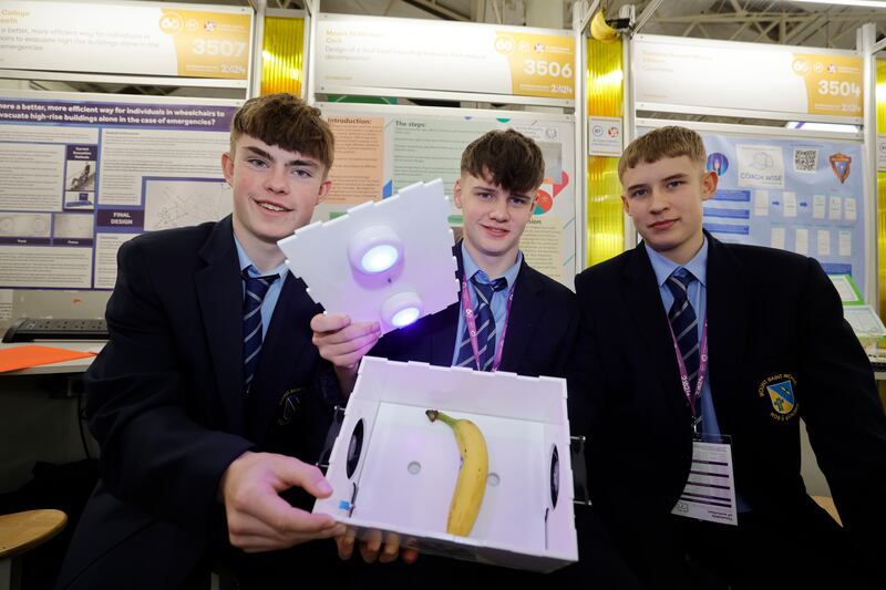 Jerome  McCarthy, Ben Sheehy and Ryan Fitzpatrick from Mount St Michael, Cork with their project Design of a fruit bowl including features that reduce decomposition at the 60th Annual BT Young Scientist & Technology Exhibition. Photograph: Alan Betson / The Irish Times

