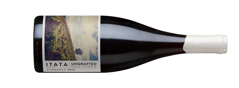 Try with antipasti or roast chicken and great value for money too