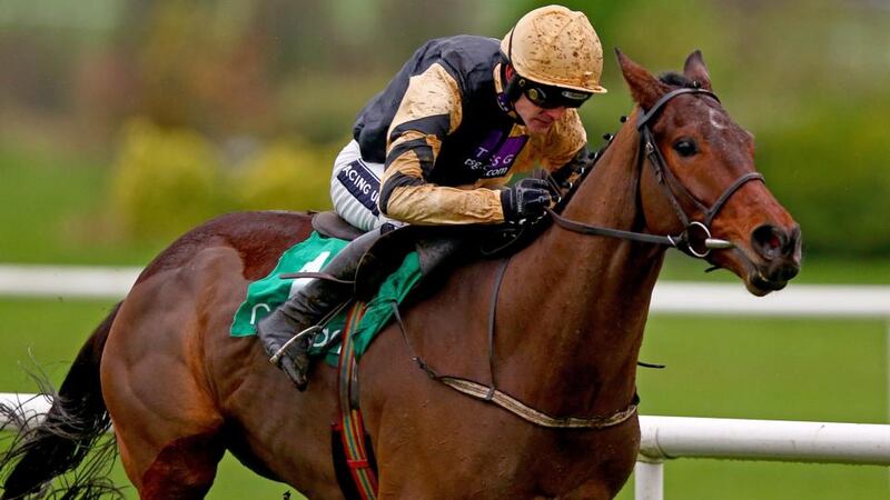 Willie Mullins’ Bellshill is antepost favourite for Monday’s Irish National. Photograph: Donall Farmer/Inpho