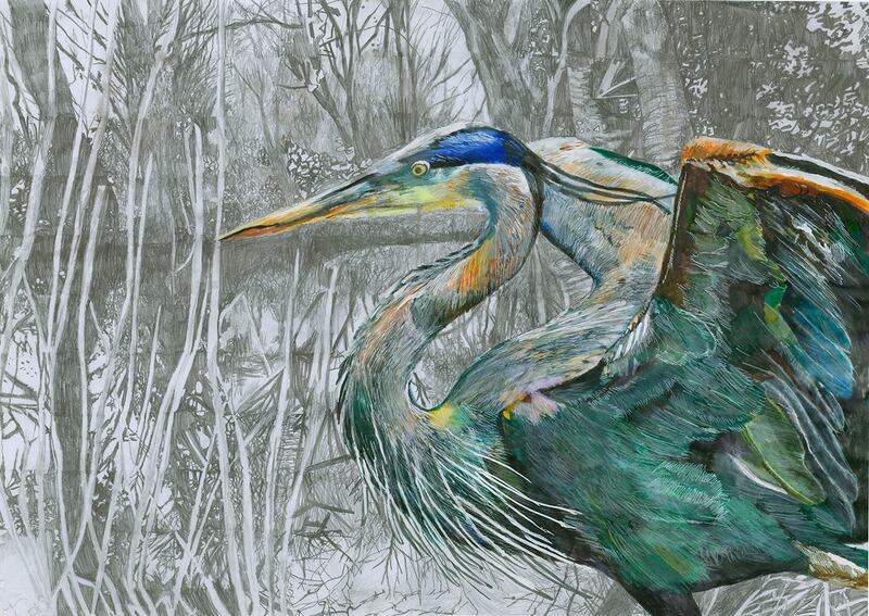 Heron On The River Boyne by James Moonan (16)