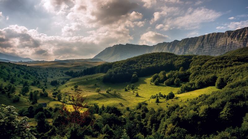 Tá thart ar leath de thírdhreach an Bhoisnia agus an Heirseagaivéin faoi fhoraoiseacha dlútha.