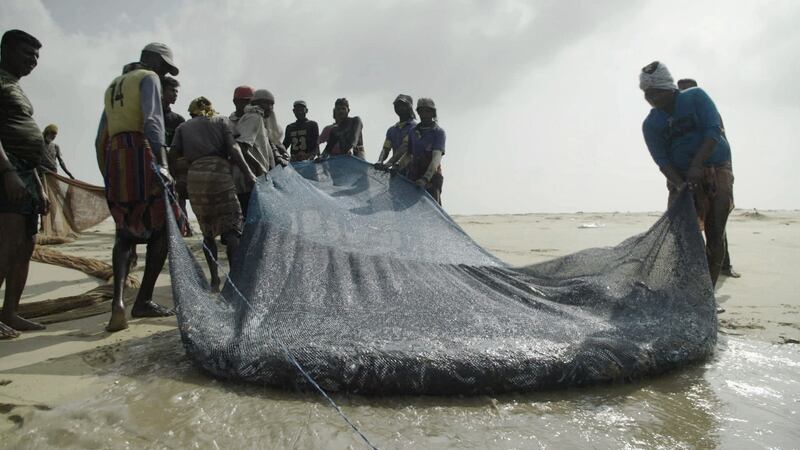 Fíorscéal: Ocean Grabbing