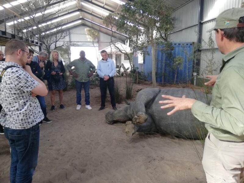 Crime scene scenarios at the Wildlife Forensic Academy: These animals were killed by poachers and then stuffed for use by the academy. Photograph: Wildlife Forensic Academy