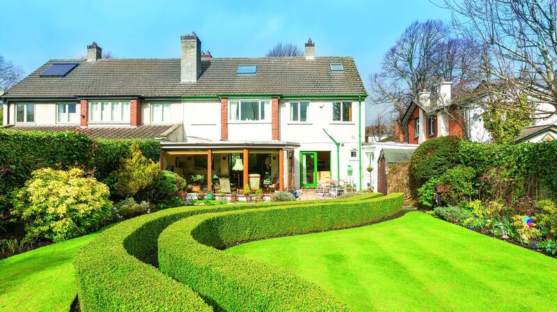 22 Temple Road, Dartry, Dublin 6: rear garden