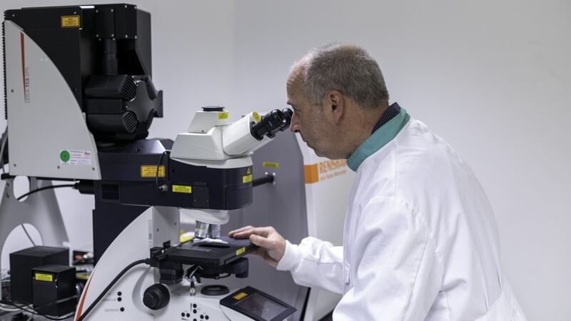 The AIT research team, led by Prof Neil J Rowan, is investigating the use of naturally-occurring microalgae to help mitigate disease and improve fish health in freshwater fish farms.