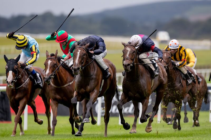 Ryan Moore on Above the Curve (navy silks) winning the  Blandford Stakes  at the Curragh. Photograph: Morgan Treacy/Inpho 