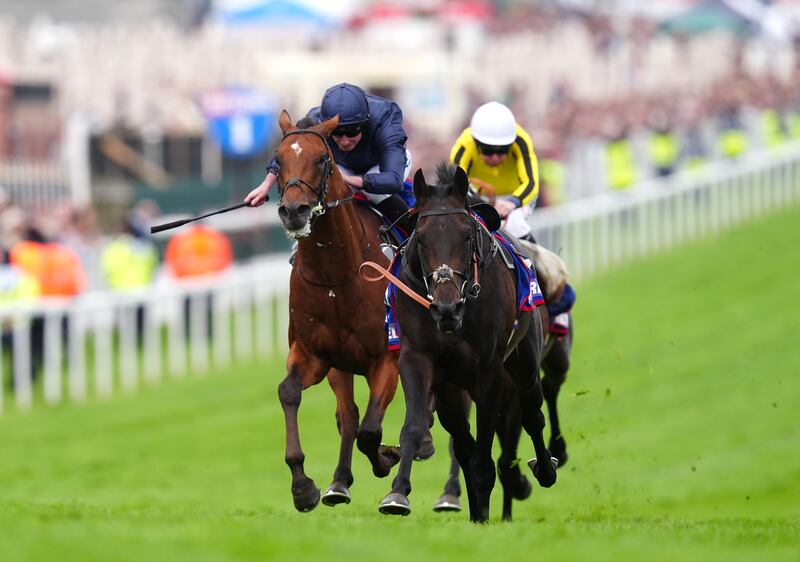 Aidan O'Brien's Derby winner City Of Troy is the even-money favourite to win Wednesday's Juddmonte International Stakes at York. Photograph: David Davies/PA Wire for The Jockey Club