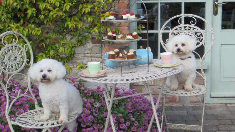 Afternoon tea for two at Tankardstown House,  Slane, Co Meath – canine company optional