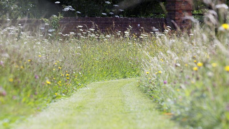 When cutting lawns at this time of year, take care not to accidentally mow down the foliage of any spring-flowering bulbs such as snowdrops.