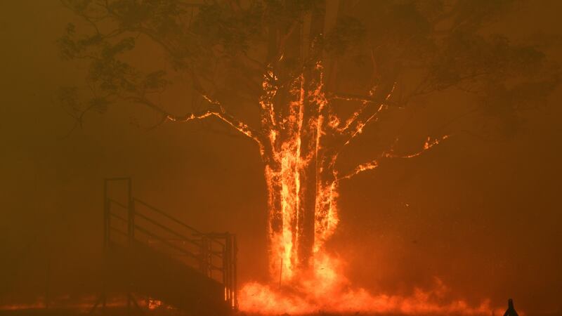 Catastrophic conditions fuelled massive bushfires across Australia’s New South Wales state on Saturday. Photograph: Dean Lewins Australia And New Zealand OUT/EPA
