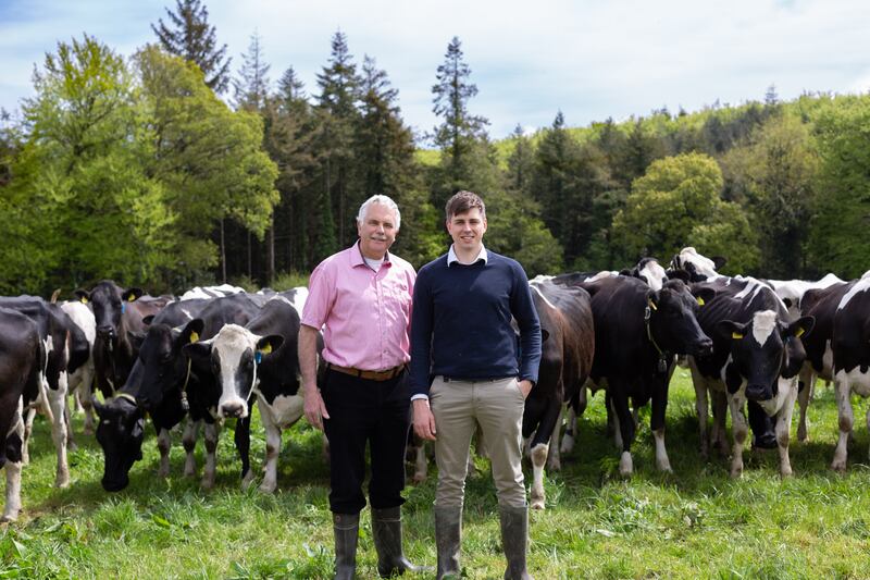 Knockanore Farmhouse cheddar is made only with milk from the farm’s herd of Friesian cows
