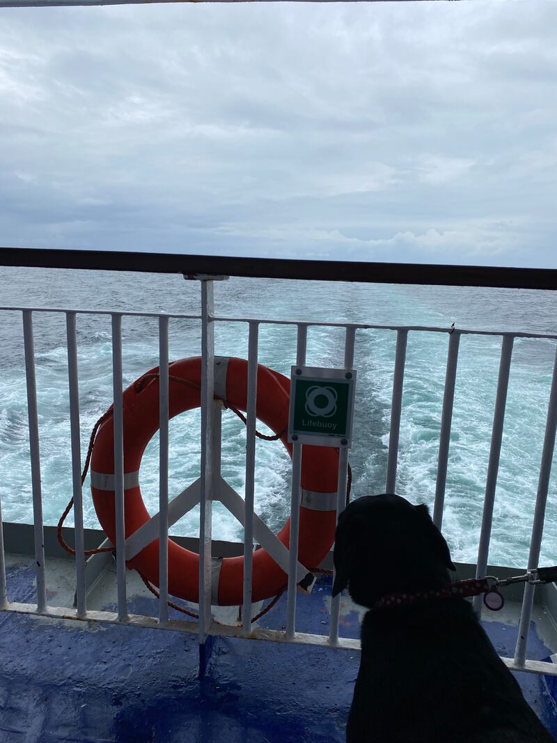 Luna on board the Stena Vision ferry. Photograph: Fionn Davenport
