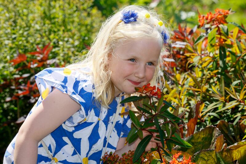 Alannah Williams (5) from Wexford enjoying the sunshine at Bord Bia Bloom in the Phoenix Park, Dublin. Photograph: Peter Houlihan