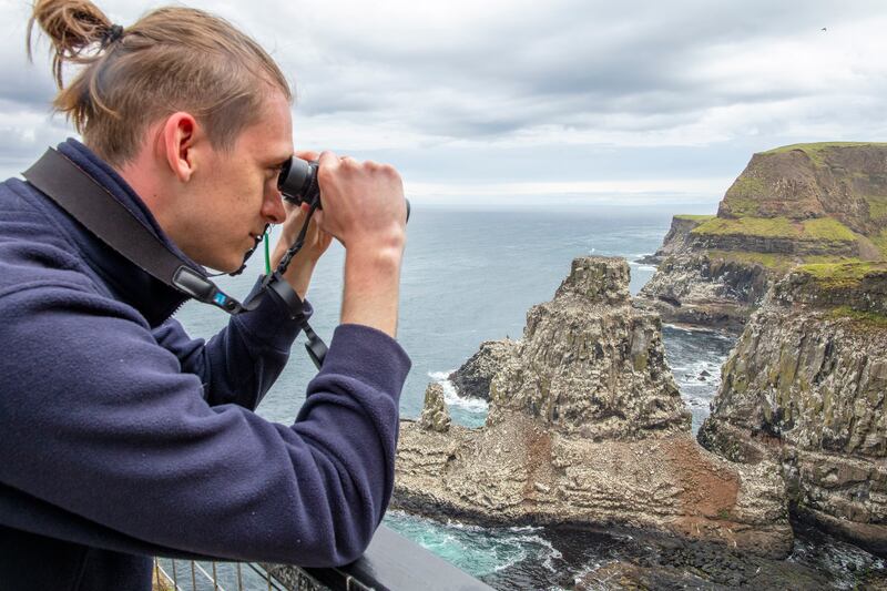 It’s staggering to see so many seabirds so close by, and in such detail. Photograph: Paul Faith