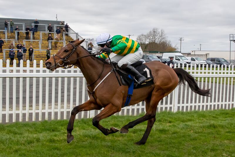 Limerick Lace will be among the runners representing JP McManus. Photograph: Morgan Treacy/Inpho