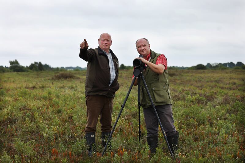  Pat Dunning (right)  and Pat Feehily at work on the Ballydangan Bog Red Grouse Project in Co. Roscommon. Photo: Bryan O’Brien / The Irish Times


