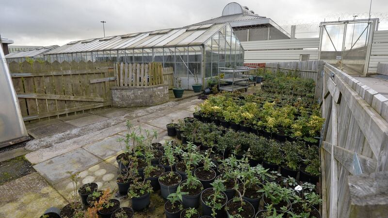 The garden workshop area with the  Roe buildings in the background which house republican prisoners. Photograph: Alan Betson