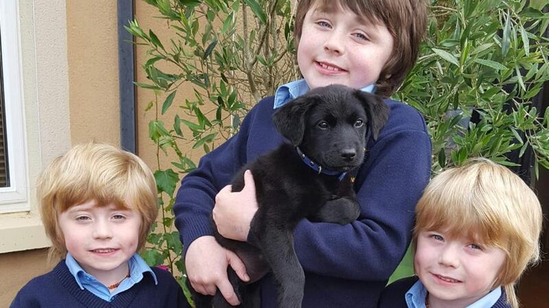 Over 70 walkers and runners will take part in next week’s Dublin City Marathon in support of the sons of Paula Kerr –  brothers Archie (centre), George and Isaac, who suffer from Duchenne Muscular Dystrophy.