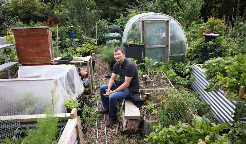 Andrew Walker in his allotment in Corkagh Park, Clondalkin. Photograph: Laura Hutton