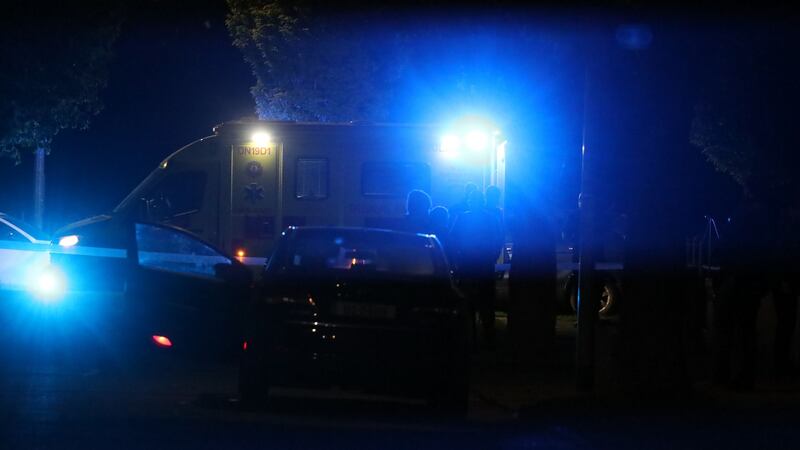 Gardaí in west Dublin after an armed siege. Photograph: Collins