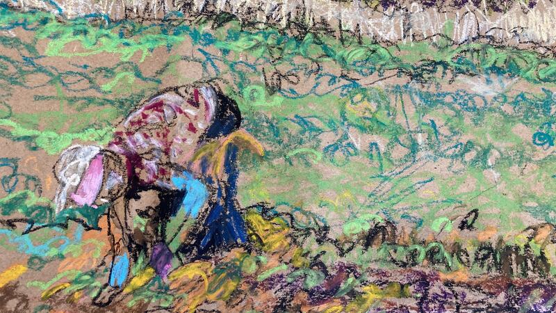 Annie pulling Carrots by Rachel Macmanus on brown fruit packing paper at Glór, Ennis