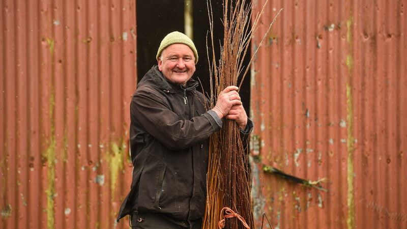 Morgan Murphy: “I’m committed to safeguarding the natural, native pasture here.” Photograph: Diarmuid Greene
