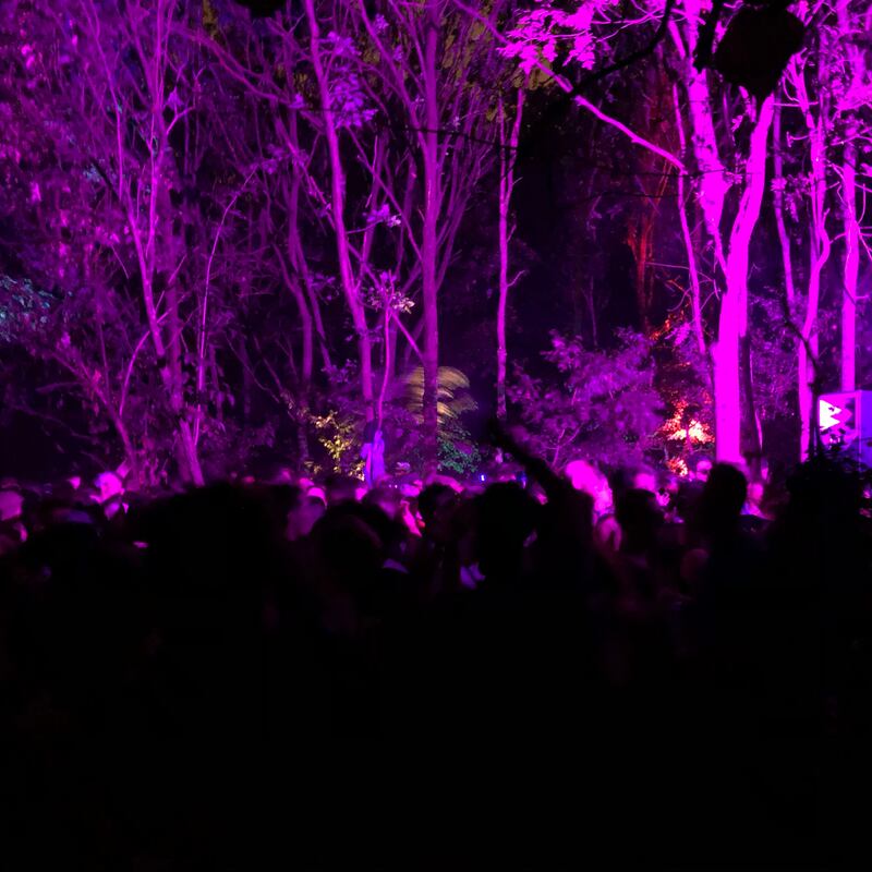 Rave culture: the party in Tottenham Marshes, in north London. Photograph: Alex Marshall