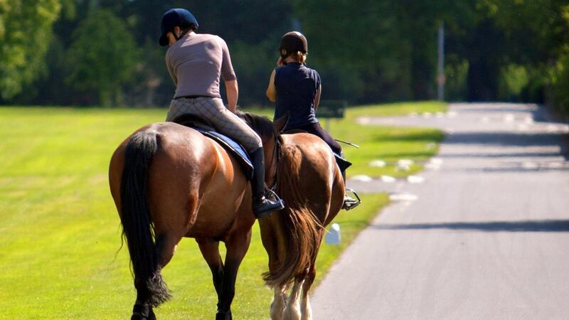 Mount Juliet: a new package for families inspired is by Mr Jinks, one of the iconic champion horses born and bred on the estate