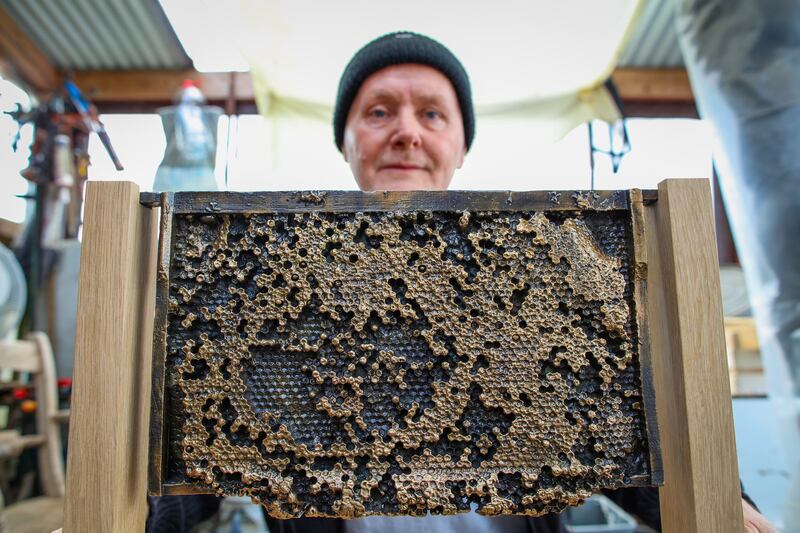 Sculptor Raymond Watson with his latest piece, The Brood Frame, a casting of a living beehive. Photograph: Paul Faith for The Irish Times