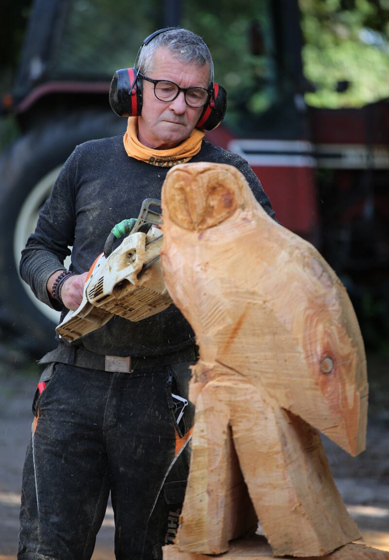 Chainsaw sculptor Will Fogarty. Photograph: Bryan O’Brien
