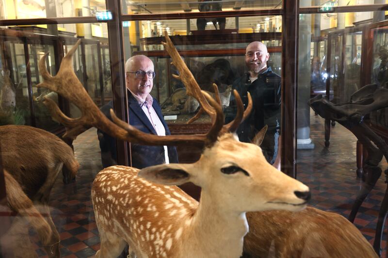 Deputy keeper Paolo Viscardi (right) and retired keeper Nigel Monaghan (left) at the Natural History Museum.
Photograph: Dara Mac Dónaill







