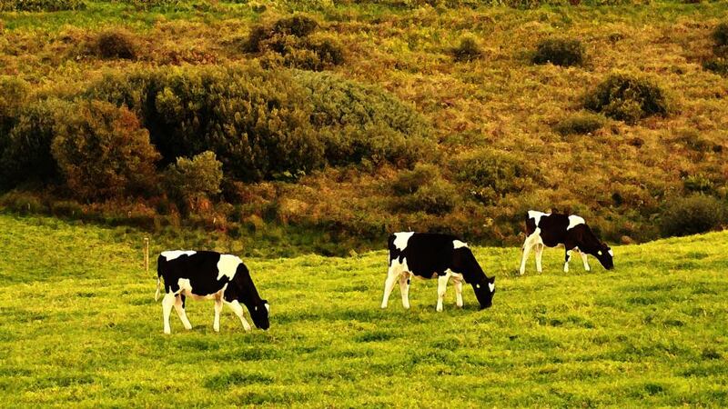 Green and pleasant land: cherishing our natural heritage should surely be considered as patriotic a principle as cherishing our cultural heritage