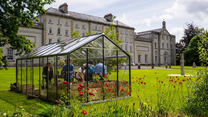 By day, an ordinary-looking greenhouse in the grounds of Carlow college, by night, it becomes colourfully illuminated thanks to dye-sensitive solar panels. Photograph: Patrick Bramley