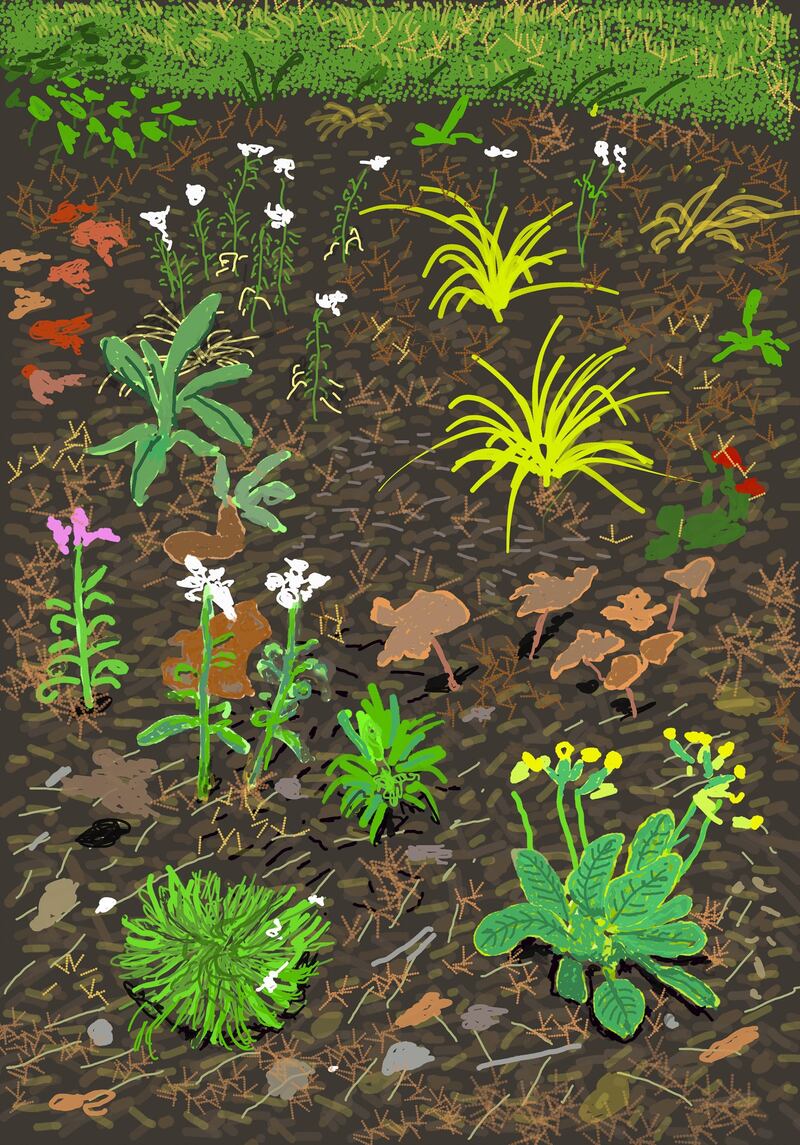 No. 186,  March 3rd, 2020, iPad painting by David Hockney, from David Hockney: The Arrival of Spring, Normandy, 2020, Royal Academy of Arts, London