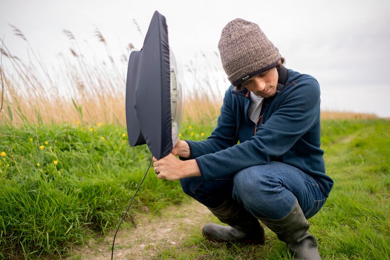 Ronayne visiting the Tacumshin Lake Special Area of Conservation in Wexford to retrieve his recorded wildlife sounds hidden in the grass. Photograph: Chris Maddaloni